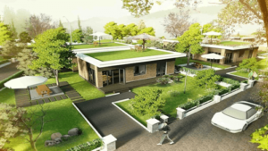 nhung-loai-cay-nen-trong-truoc-nha-de-hop-phong-thuy